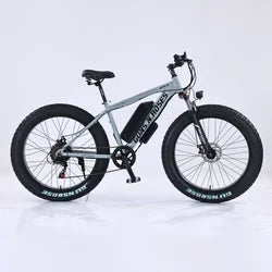 Adult Ebike 19 Light Electric Mountain Bike Electric Bike 6000w 40ah Road Legal Dirt with Pedals