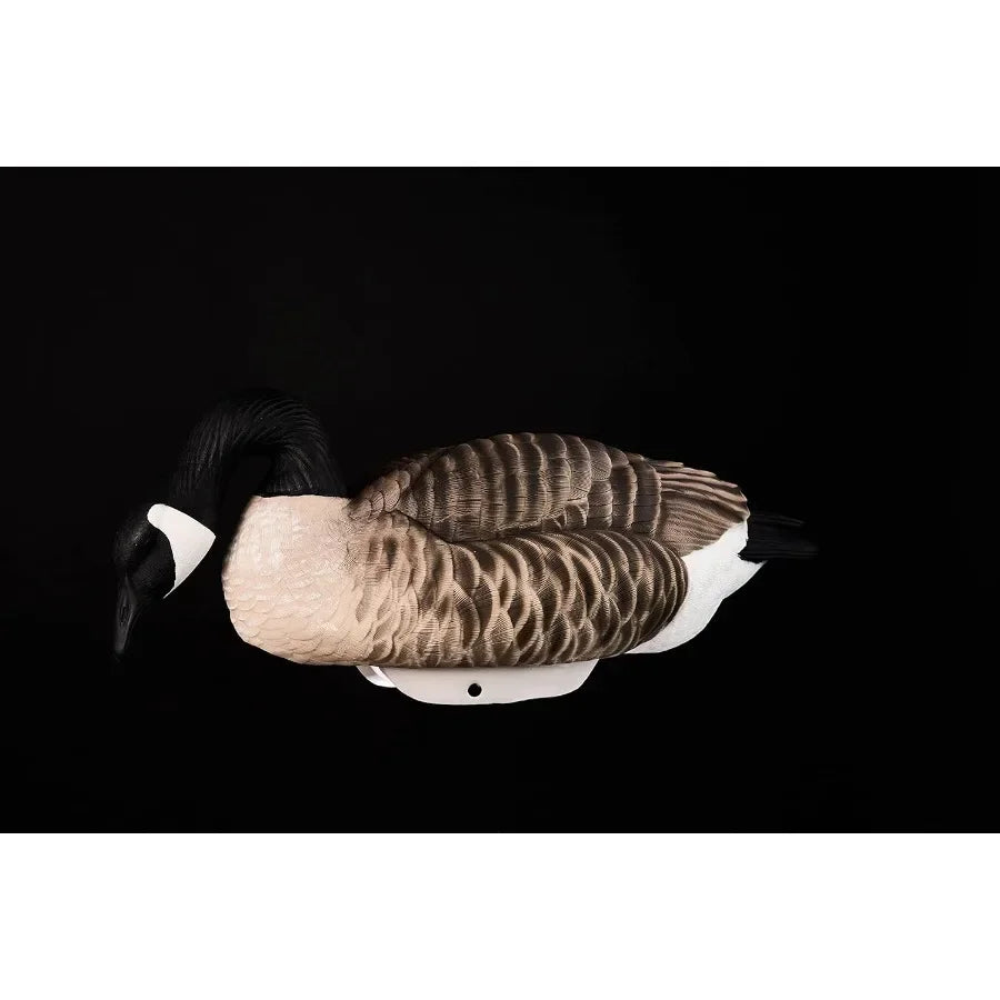 Canada Goose Floater Hunting Decoys by Heyday 100% HydroFoam 4 Pack Ultra Realistic Durable Goose Hunting Decoys