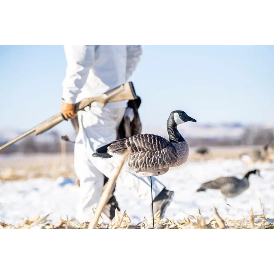 Canada Goose Floater Hunting Decoys by Heyday 100% HydroFoam 4 Pack Ultra Realistic Durable Goose Hunting Decoys